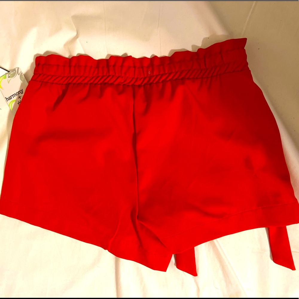 Shorts - Picture 3 of 4